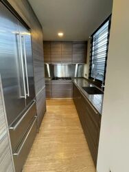 Hana (D10), Condominium #538976761